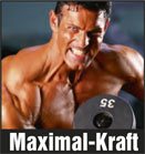 Maximal Kraft