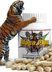 Goldfield the Muscle-Maker