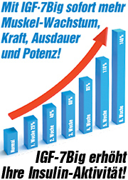 IGF-7Big erh&ouml;ht Ihre Insulin-Aktivit&auml;t.