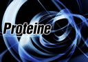 Goldfield Proteine