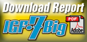 Zum IGF-7Big Report