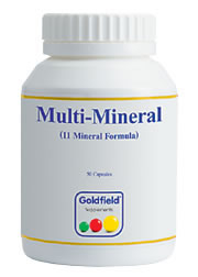 Goldfield Nahrungserg�nzung - Multi-Mineral
