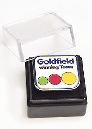 Goldfield-Pin