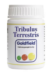 Tribulus-Terrestris