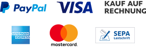  Logo PayPal