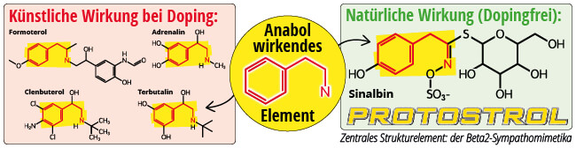 Vergleich anabole Wirkung