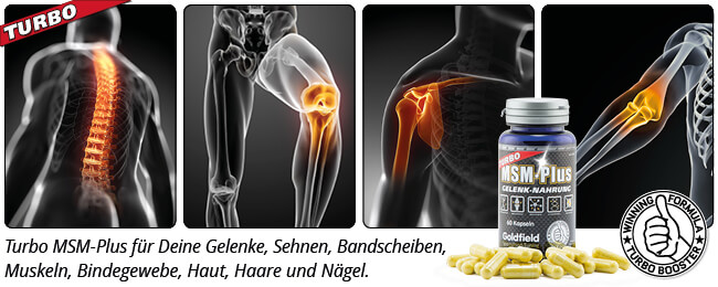 MSM Wirkung