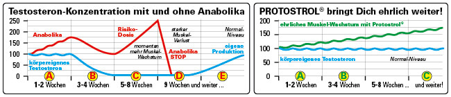 Protostrol bringt Dich weiter!