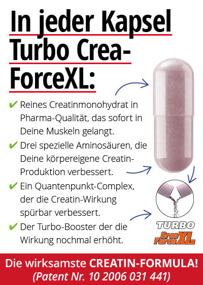  September Angebot 2:  Turbo Crea-Force XL 2 Dosen + 1 gratis dazu Bild 2