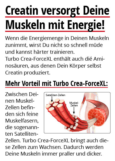  September Angebot 2:  Turbo Crea-Force XL 2 Dosen + 1 gratis dazu Bild 4