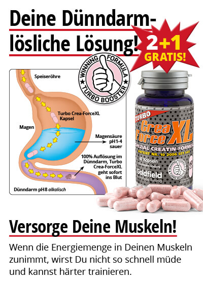  Oktober-Angebot 1:  Turbo Crea-Force XL 2 Dosen + 1 gratis dazu Bild 3