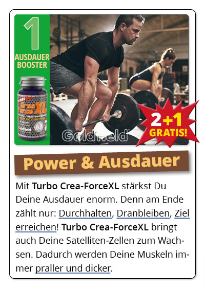  Oktober-Angebot 1:  Turbo Crea-Force XL 2 Dosen + 1 gratis dazu Bild 4