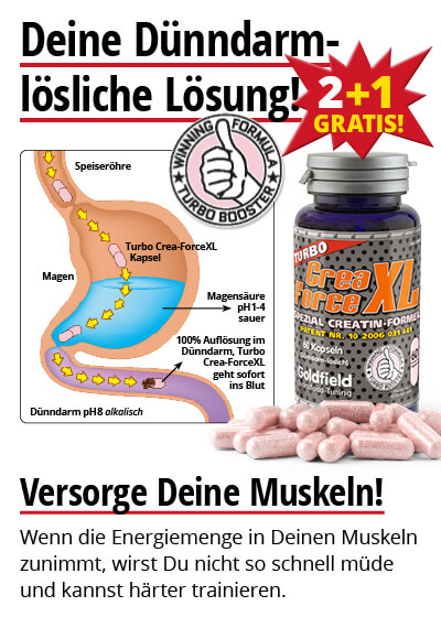  Oktober-Angebot 1;  Turbo Crea-Force XL 2 Dosen + 1 gratis dazu Bild 3