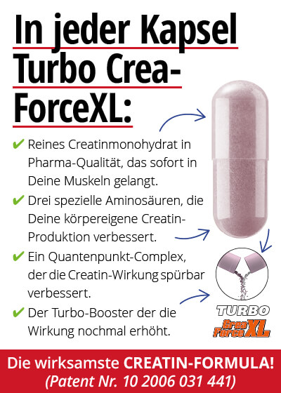  Mrz-Angebot 3:  Turbo Crea-Force XL 2 Dosen + 1 gratis dazu Bild 2