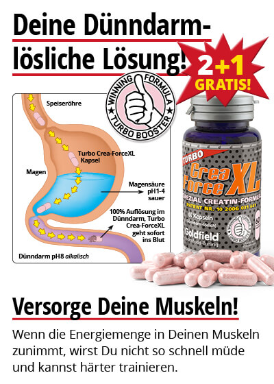  Mrz-Angebot 3:  Turbo Crea-Force XL 2 Dosen + 1 gratis dazu Bild 3