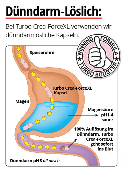 Turbo Crea-ForceXL Bild 4