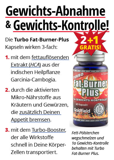  September Angebot 3:  Turbo Fat-Burner Plus 2 Dosen + 1 gratis dazu Bild 3