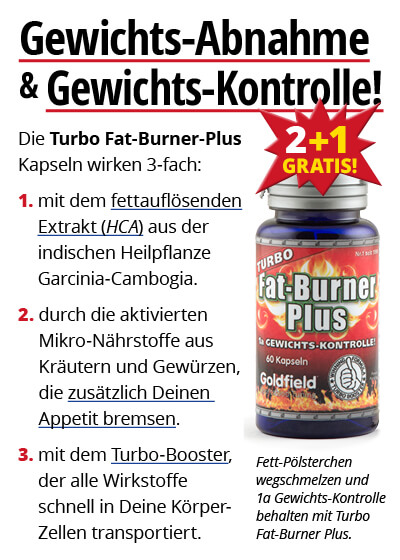  Februar-Angebot 2  Turbo Fat-Burner Plus 2 Dosen + 1 gratis dazu Bild 3