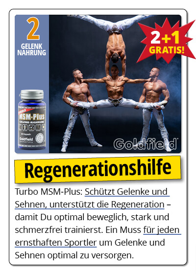  November-Angebot 2:  Turbo MSM Plus  2 Dosen + 1 gratis dazu Bild 4