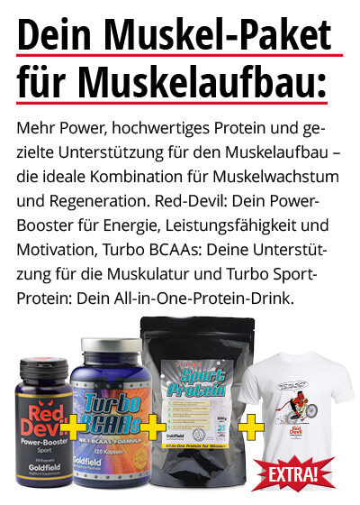  August-Angebot 3: je 1 Dose  Red Devil+BCAAs+Turbo Sport Protein plus Gratis Shirt Bild 3