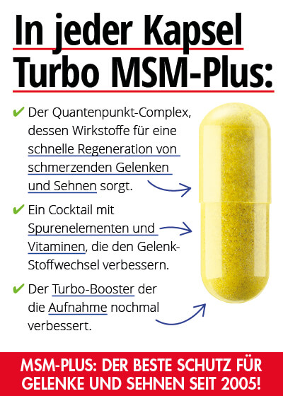 Turbo MSM-Plus - Muskel- und Gelenkschutz, 60 Kapseln Bild 2