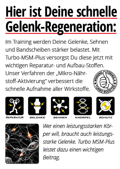 Turbo MSM-Plus - Muskel- und Gelenkschutz, 60 Kapseln Bild 4