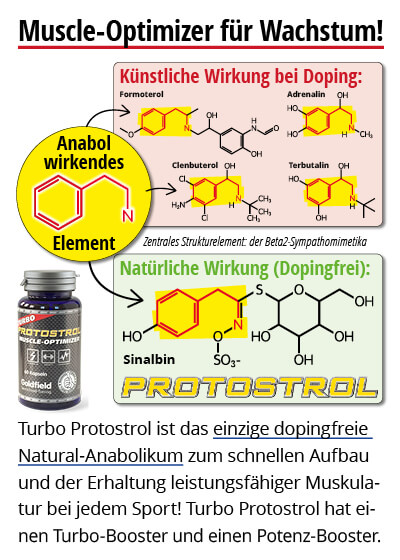  September-Angebot 2:  Turbo Protostrol 2 + 1 Dose gratis dazu Bild 3