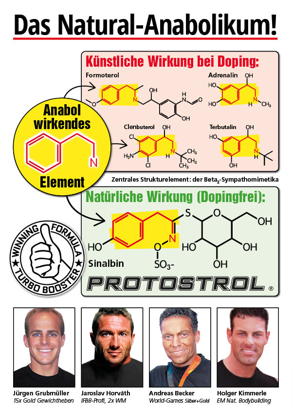 TURBO Protostrol - Muscel-Optimizer, 60 Kapseln  Bild 4