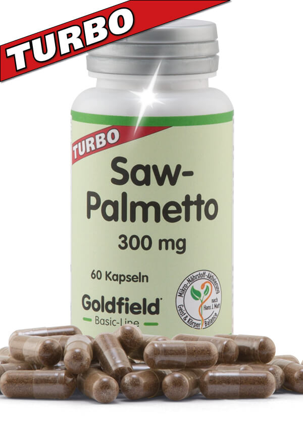 Turbo Saw-Palmetto