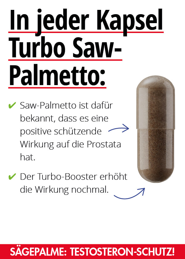 Turbo Saw-Palmetto Bild 2