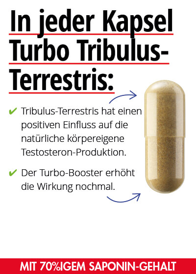  Mai-Angebot 2:  Turbo Tribulus-Terrestris 2 Dosen + 1 gratis dazu Bild 2