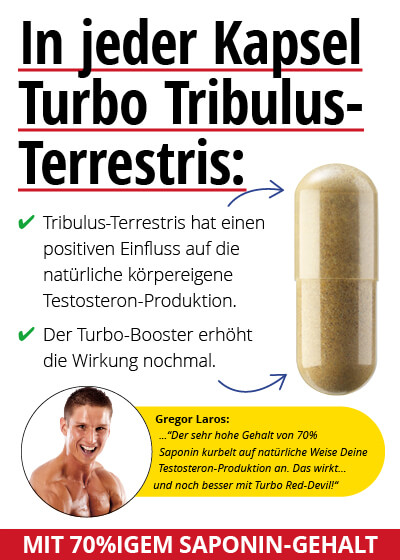  Oktober-Angebot 3:  Turbo Tribulus Terrestris 2 Dosen + 1 gratis dazu Bild 2