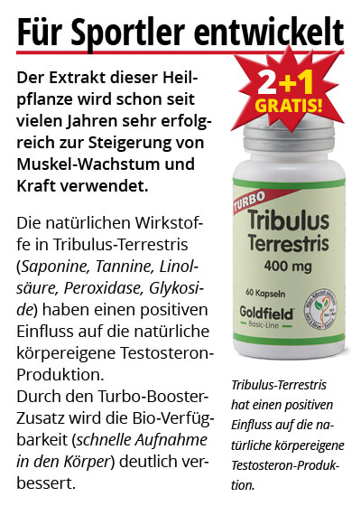  Oktober-Angebot 3:  Turbo Tribulus Terrestris 2 Dosen + 1 gratis dazu Bild 3