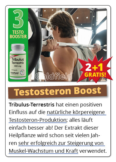  Oktober-Angebot 3:  Turbo Tribulus Terrestris 2 Dosen + 1 gratis dazu Bild 4