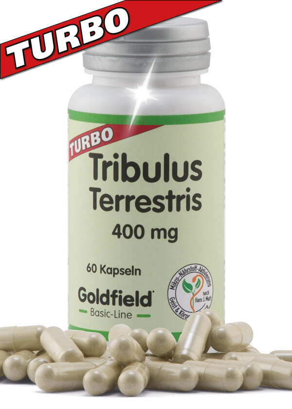 Turbo Tribulus-Terrestris