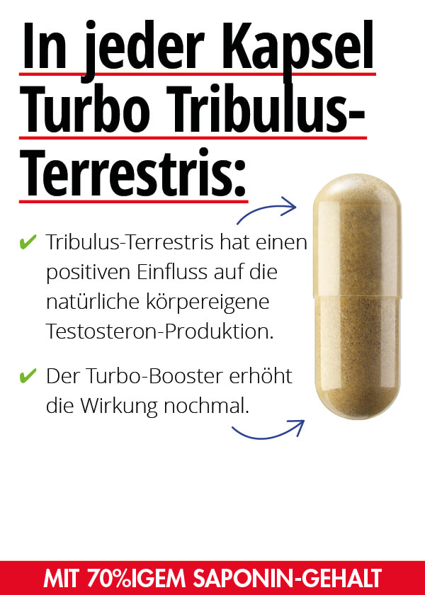 Turbo Tribulus-Terrestris Bild 2