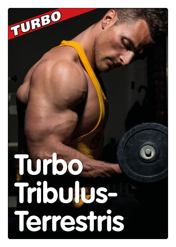 Turbo Tribulus-Terrestris Bild 3