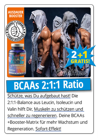   Juni-Angebot 3:  Turbo BCAAs 2 + 1 Dose gratis dazu      Bild 4