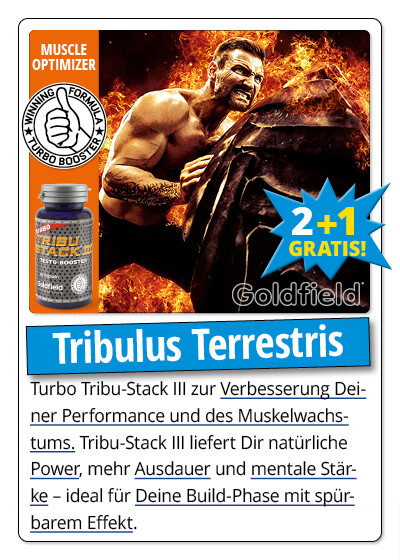   Juni-Angebot 2:  Turbo Tribu-Stack III 2 Dosen + 1 gratis dazu  Bild 4