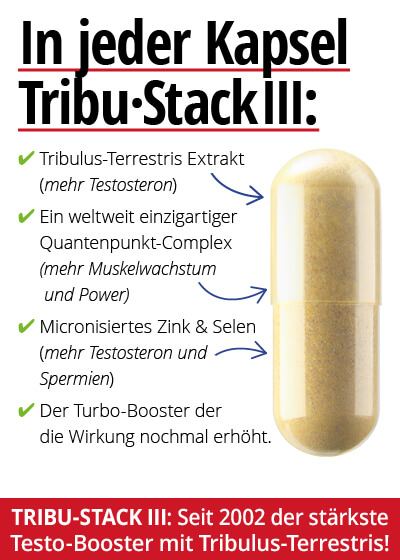  November-Angebot 1:  Turbo Tribu Stack III 2 Dosen + 1 gratis dazu Bild 2