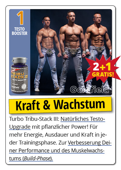  November-Angebot 1:  Turbo Tribu Stack III 2 Dosen + 1 gratis dazu Bild 4