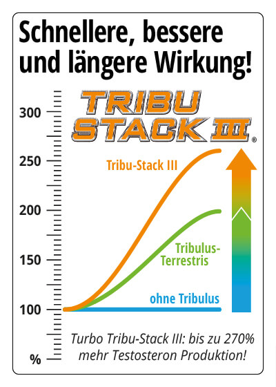  Turbo Tribu Stack III  Bild 4